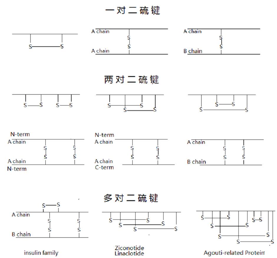 圖片1.jpg